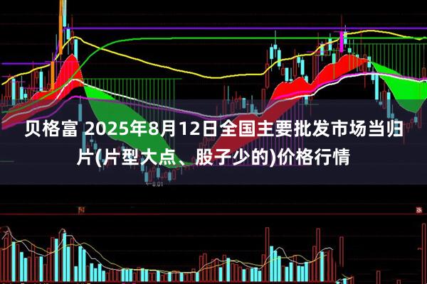 贝格富 2025年8月12日全国主要批发市场当归片(片型大点、股子少的)价格行情